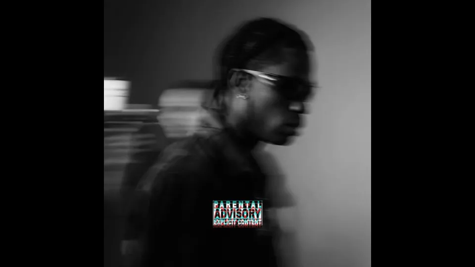 What Is a Playboi Carti Type Beat and How Can You Use It in Your Music